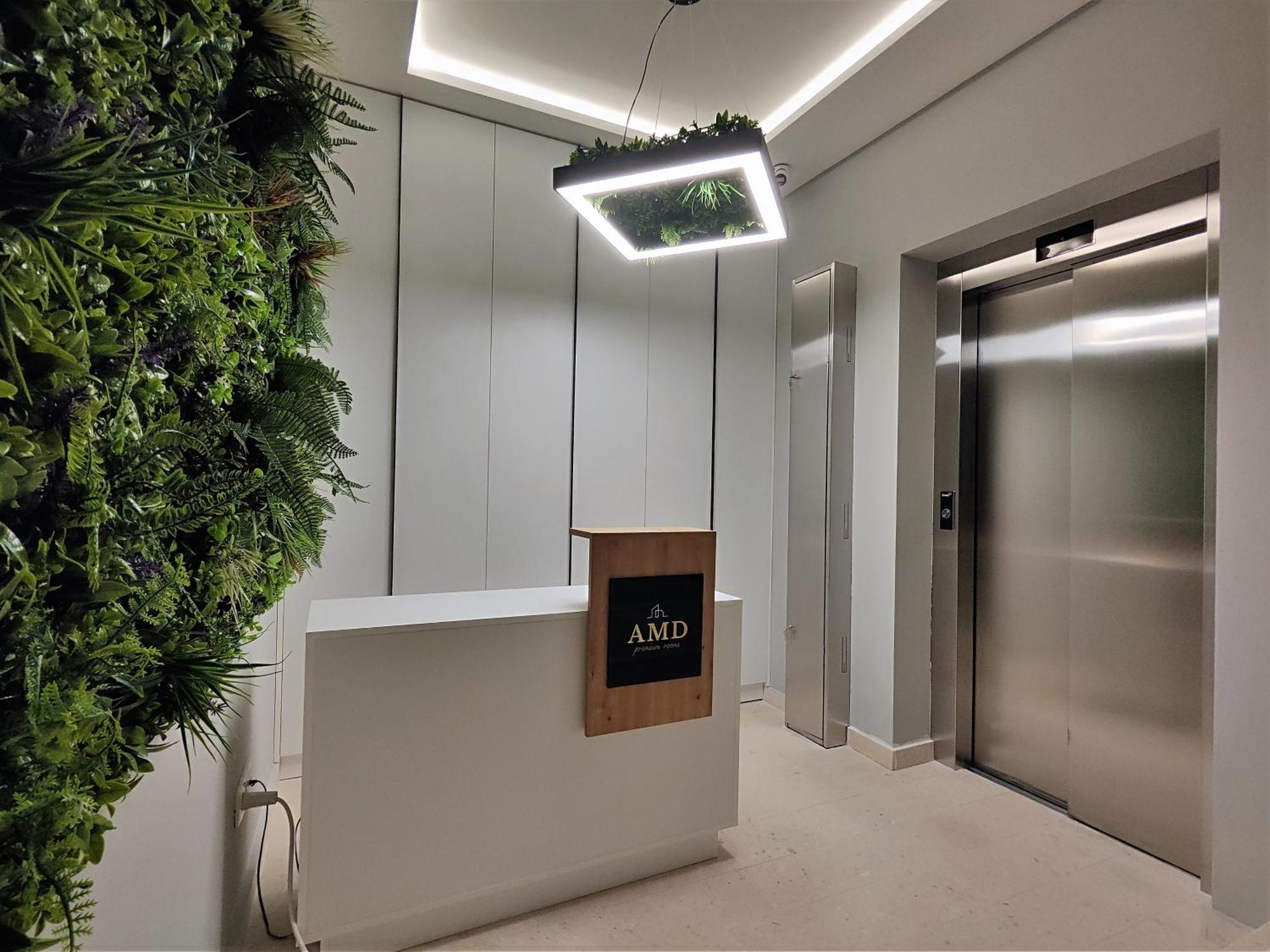 Amd Premium Rooms בודווה מראה חיצוני תמונה